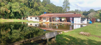 Chácara, 5 quartos, 5 hectares - Foto 3