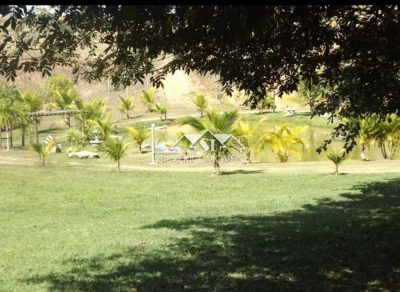 Fazenda, 3 hectares - Foto 5