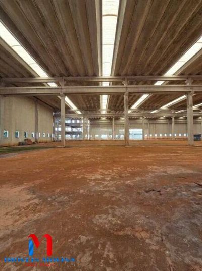 Depósito-Galpão, 5000 m² - Foto 4