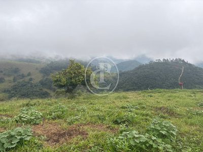 Sítio, 5 quartos, 100 m² - Foto 4