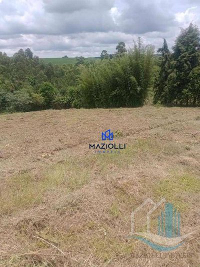 Terreno, 3 hectares - Foto 3