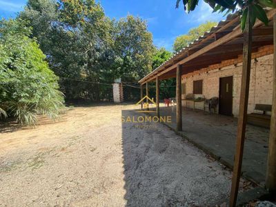 Sítio, 2 quartos, 1200 m² - Foto 2