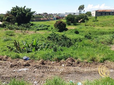 Terreno, 1 hectares - Foto 3