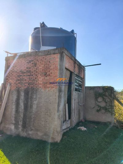 Chácara, 3 quartos, 1000 m² - Foto 5