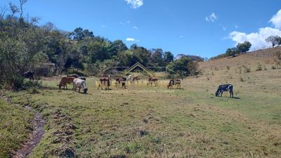 Terreno, 2 hectares - Foto 5