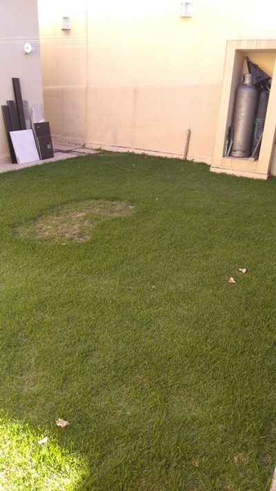 Casa, 3 quartos, 186 m² - Foto 4