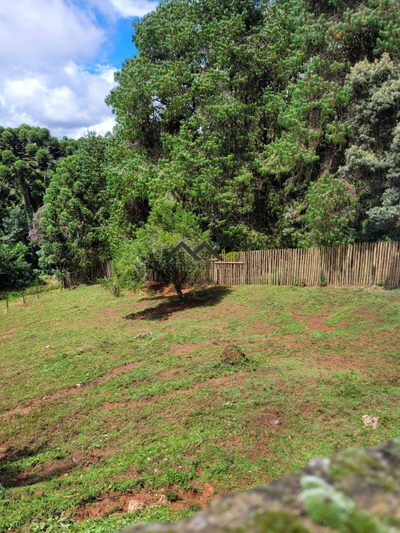 Terreno, 1174 m² - Foto 2
