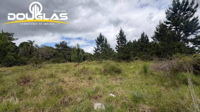 Terreno - Foto 3