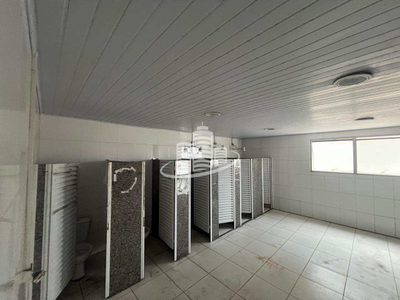 Depósito-Galpão, 5000 m² - Foto 3