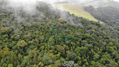 Fazenda, 87 hectares - Foto 3