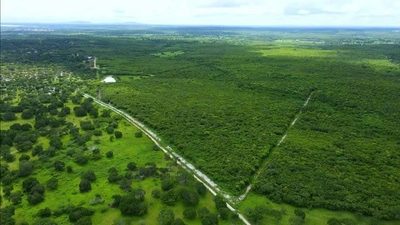 Terreno, 5000 m² - Foto 2