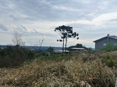 Terreno, 442 m² - Foto 5