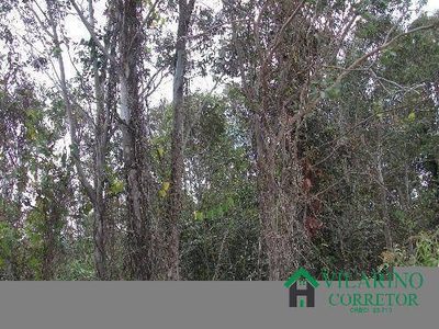 Terreno, 2500 m² - Foto 4