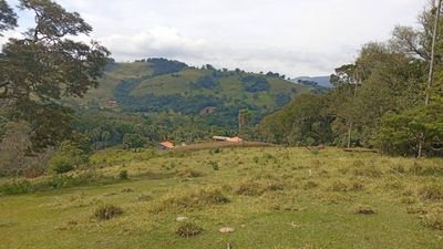 Terreno, 4750 m² - Foto 1