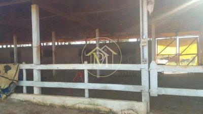 Fazenda, 17 hectares - Foto 3