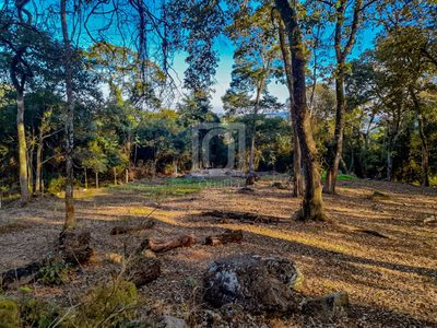 Terreno, 1800 m² - Foto 4