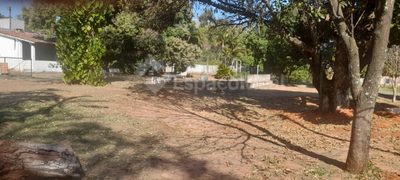 Chácara, 2 quartos, 7498 m² - Foto 3