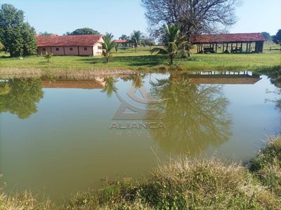 Fazenda, 270 hectares - Foto 2