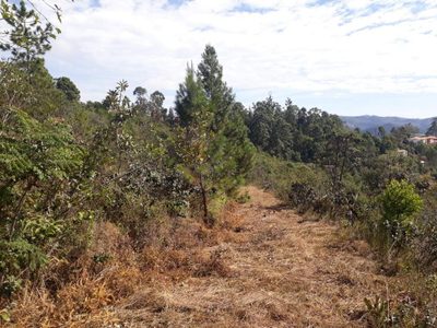 Loja-Salão, 20000 m² - Foto 4