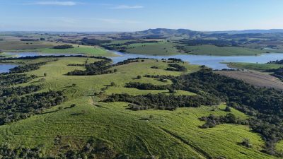 Fazenda, 175 hectares - Foto 1