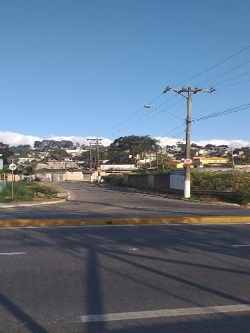 Chácara, 1 quarto, 7646 m² - Foto 4