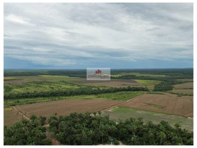 Fazenda, 816 m² - Foto 2