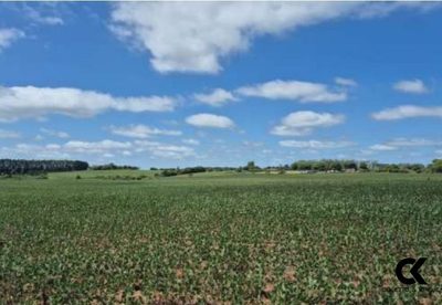 Chácara, 231 m² - Foto 5