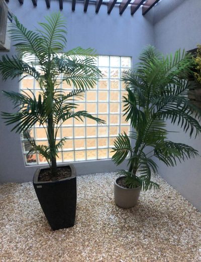 Casa, 3 quartos, 200 m² - Foto 5