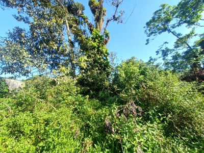 Terreno, 280 m² - Foto 1