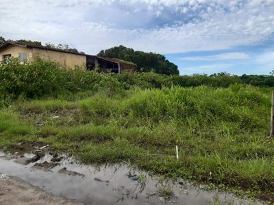 Terreno, 250 m² - Foto 3