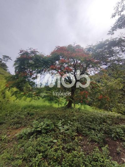 Chácara, 11 hectares - Foto 5