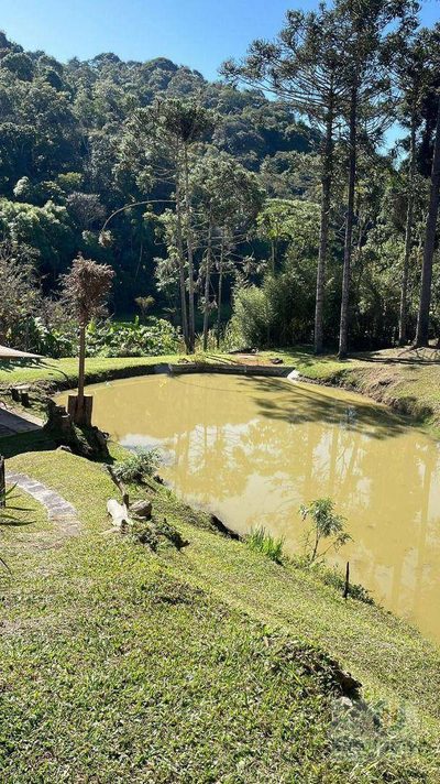 Chácara, 6 quartos, 34 hectares - Foto 4