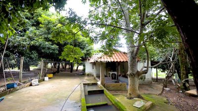 Sítio, 4 quartos - Foto 3