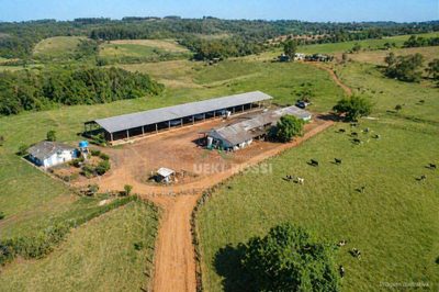 Sítio, 34 hectares - Foto 1