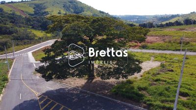 Terreno, 300 m² - Foto 5