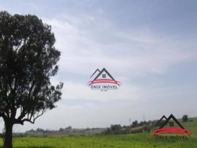 Terreno, 4 hectares - Foto 3