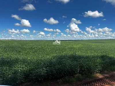Fazenda, 1179 hectares - Foto 1