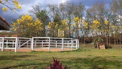 Terreno, 4 hectares - Foto 4