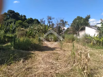 Terreno, 10000 m² - Foto 4