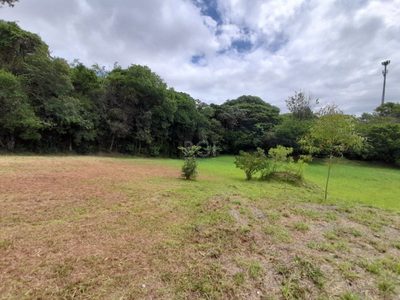 Terreno, 291 m² - Foto 3