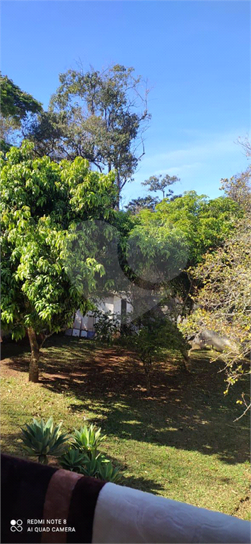 Chácara, 3 quartos, 1000 m² - Foto 3