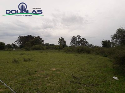 Terreno, 4000 m² - Foto 5