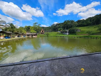 Sítio, 3 quartos, 5 hectares - Foto 1