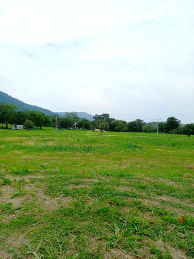 Terreno, 405 m² - Foto 4