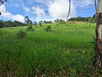 Fazenda, 179 hectares - Foto 1