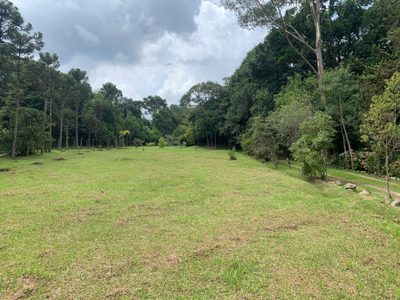 Sítio, 3 quartos, 4 hectares - Foto 5