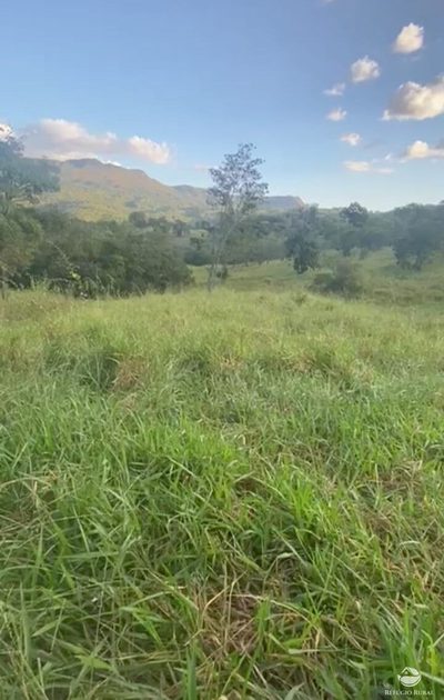 Fazenda, 363 hectares - Foto 4