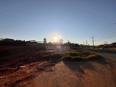 Depósito-Galpão, 4381 m² - Foto 3