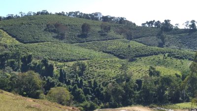 Fazenda, 101 hectares - Foto 4