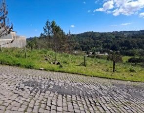 Terreno, 454 hectares - Foto 4